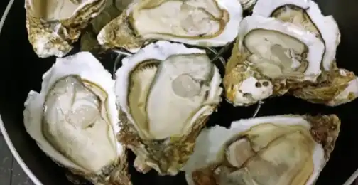 What Are the Health Benefits of Oyster Peptide Supplementation?